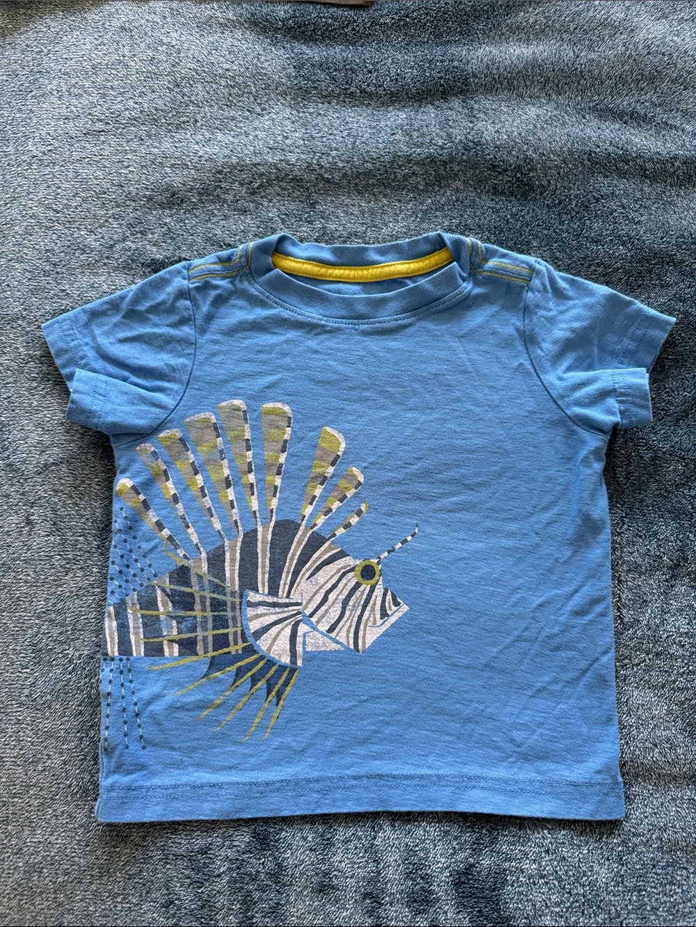 Tea Collection Blue Short Sleeve Tee with Playful Fish Graphic